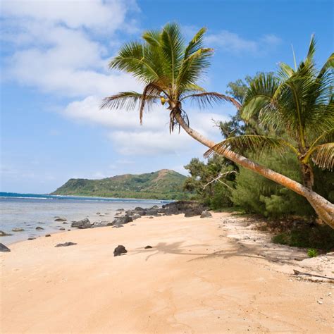 mystery island bdscr|Shore Excursions .
